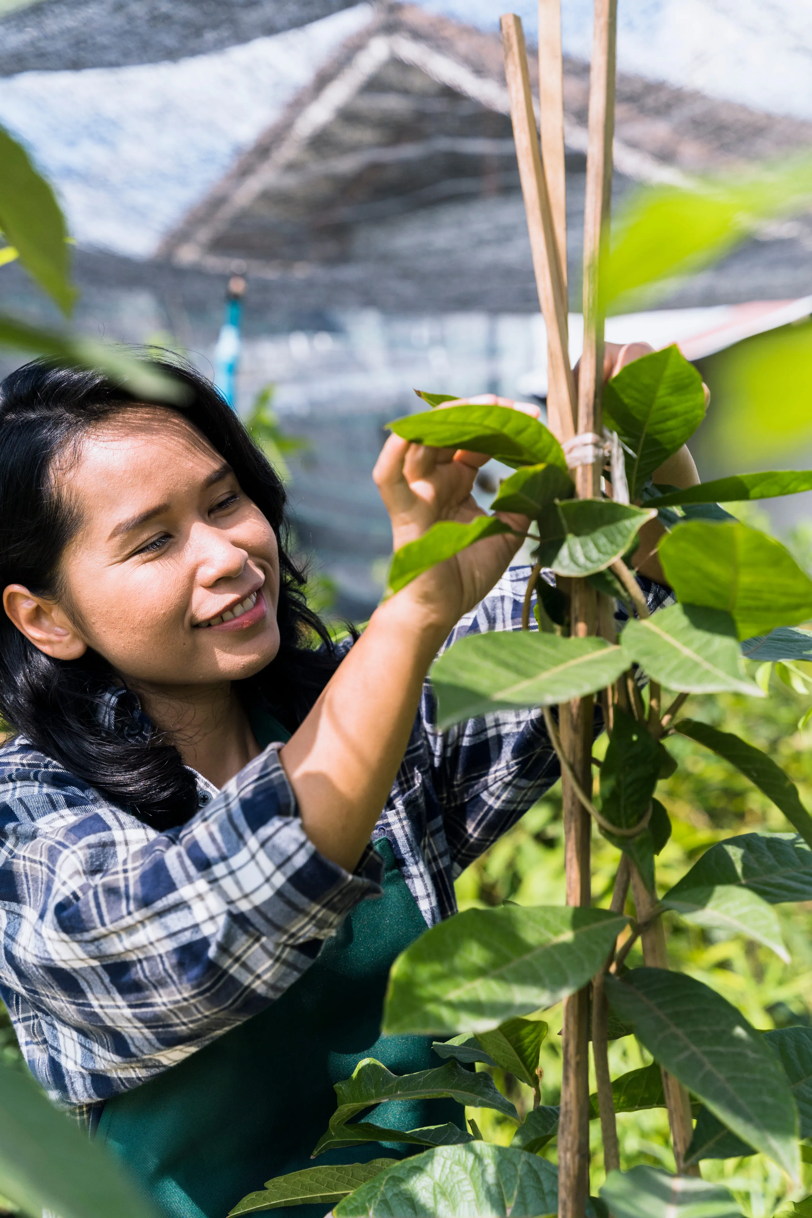 Lending Program for Economic Zone (ECOZONE) Developers