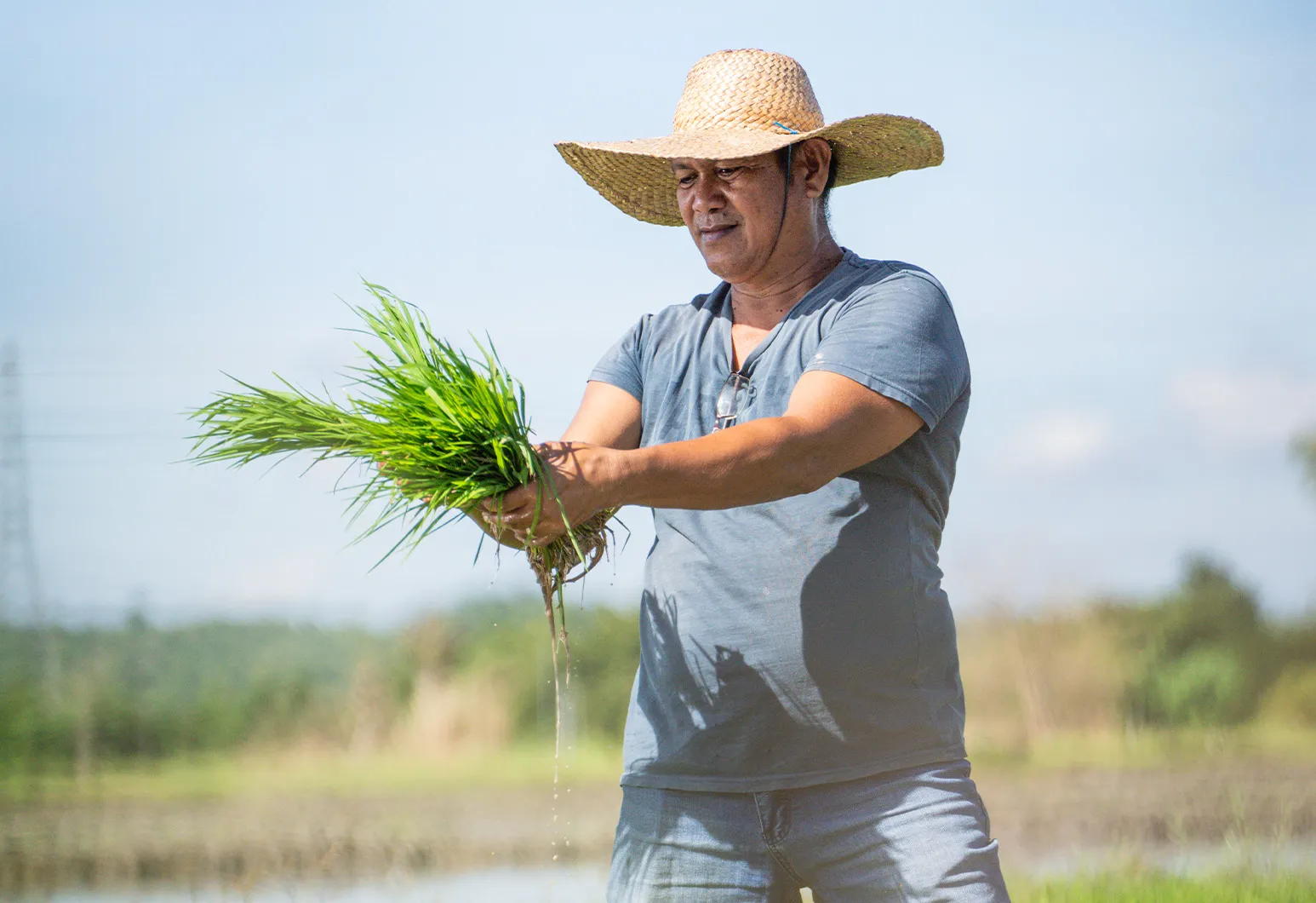 Browse Our Featured Offerings - Landbank