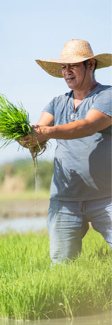 Landbank product image