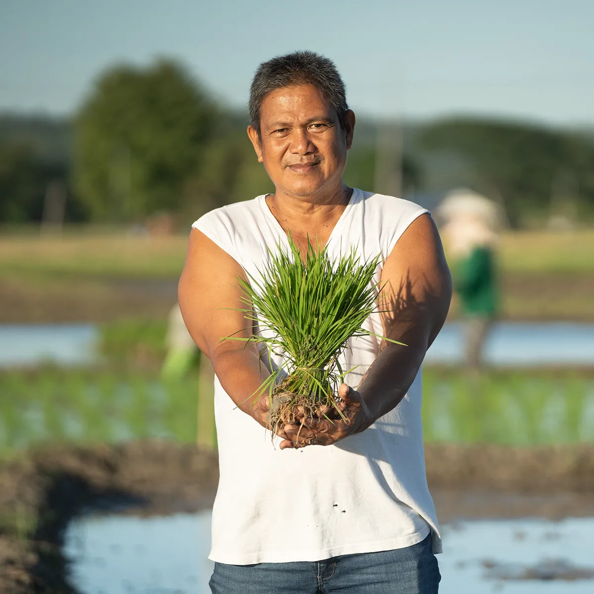 Agri Lending Programs