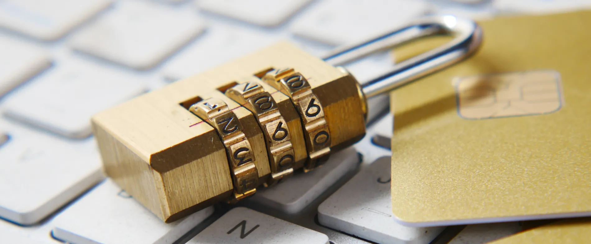 Securities Custodianship