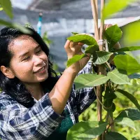 EMBRACE Lending Program