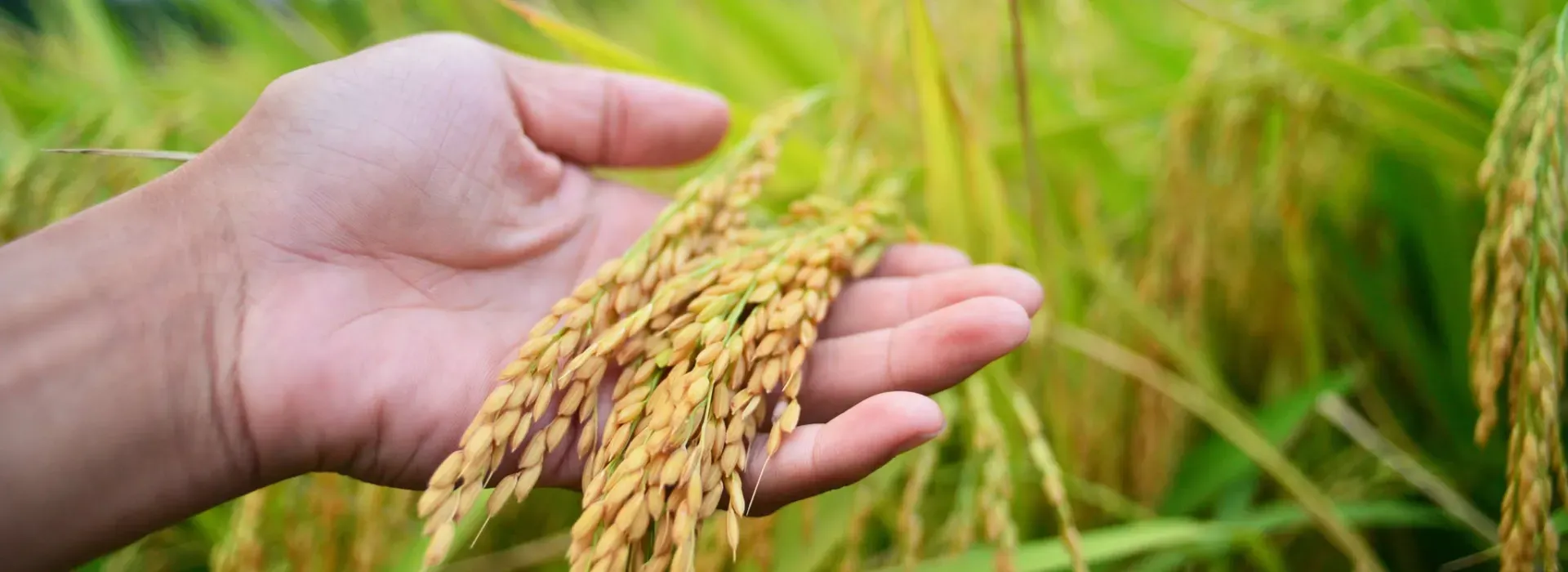 ERCA-RCEF Lending Program