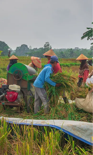 Republic Act 3844 (Agricultural Land Reform Code) - Landbank Timeline 8 August 1963