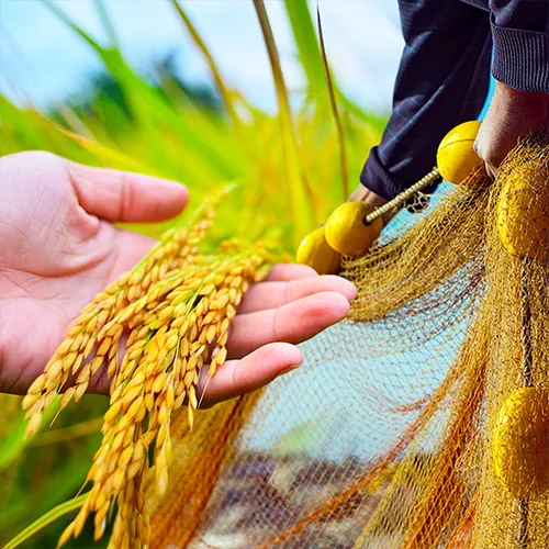 ERCA-RCEF Lending Program