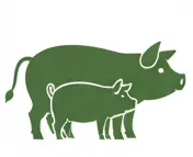 HVC-VC) Lending Program icon - Landbank