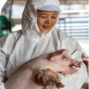 Poultry and Livestock Value Chain (PLVC) Lending Program