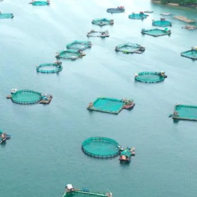 Aquatic Resources Acceleration (AQUA) Lending Program