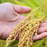 ERCA-RCEF Lending Program